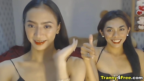 Sexy chick fucked in whippedass video